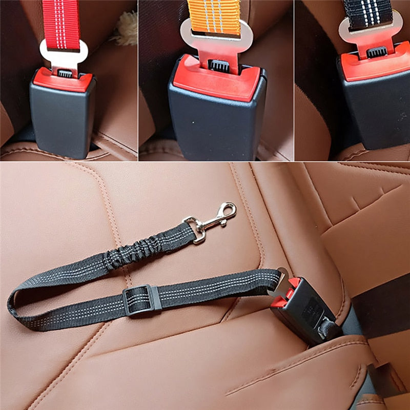 Car Safety Belt Pet Reflective Leash - Zuka & Co.