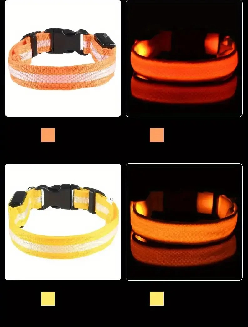 GlowPup™ LED light-up dog collar by Zuka & Co. waterproof, adjustable with 3 flash modes and a strong leash ring on a small dog.